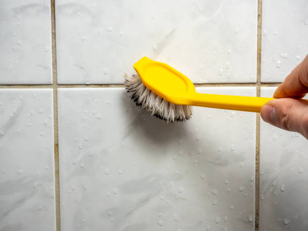 Best Water Damage Restoration  in Pinconning, MI