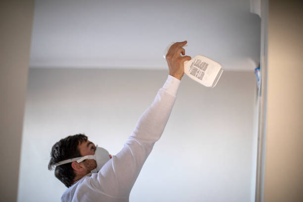 Best Mold Damage Repair  in Pinconning, MI
