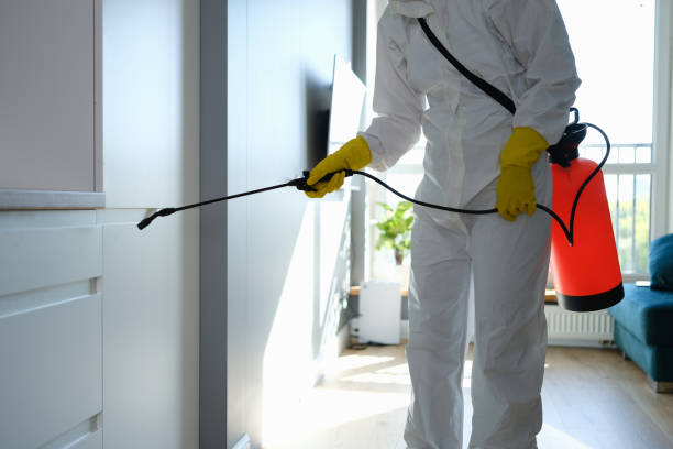 Best Mold Testing  in Pinconning, MI