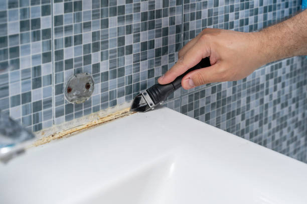 Best Mold Remediation  in Pinconning, MI